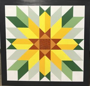 Centex Barn Quilts - Barn Quilt Pattern #14