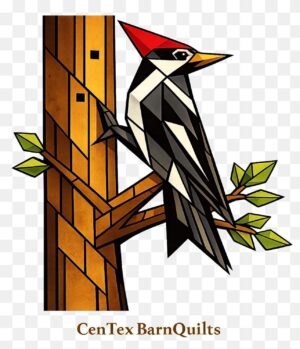 Centex Barn Quilts - Barn Quilt Pattern D