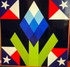 Centex Barn Quilts - Barn Quilt Pattern 35